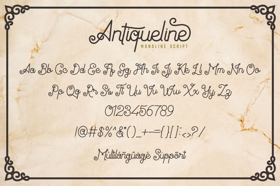 Antiqueline Script - view 10
