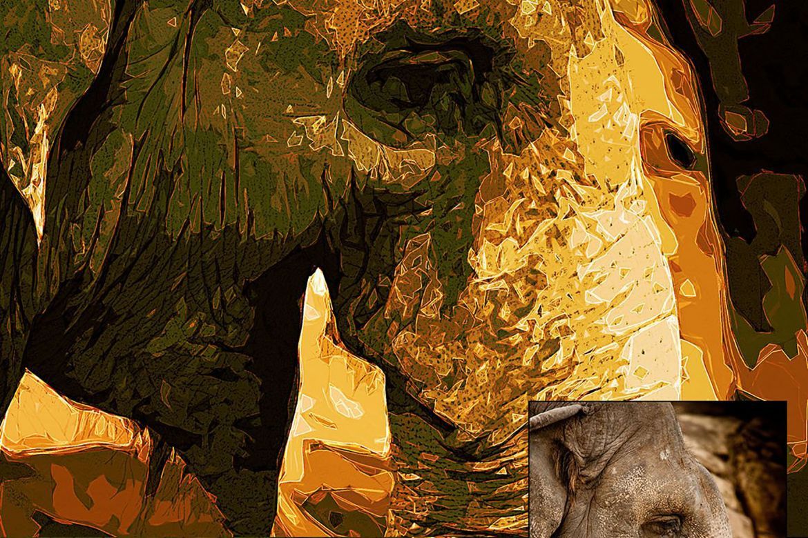 Cell Contour Photoshop Action - view 13