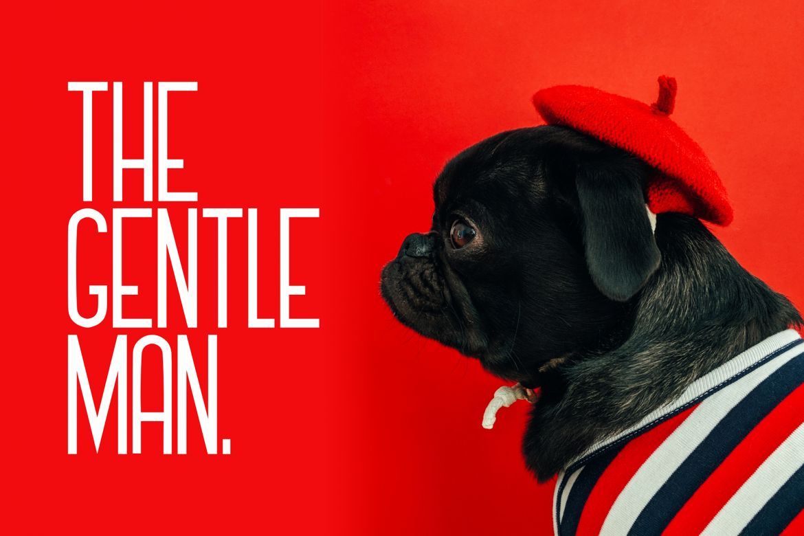 Gennaro Sans Serif - view 3