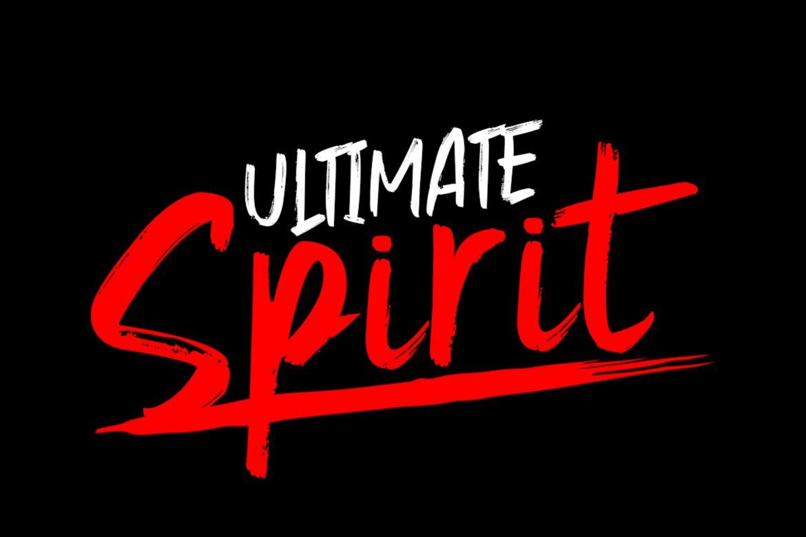 Gojira Black Brush Font - view 3